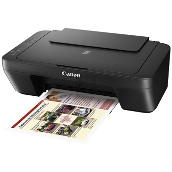 Pixma MG 3000 (grey)