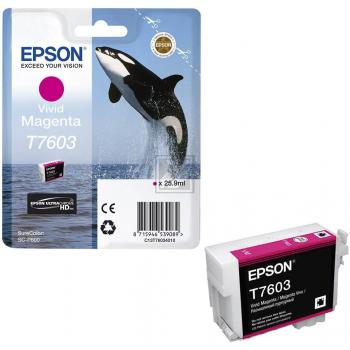 Epson Tintenpatrone m (C13T76034010, T7603)